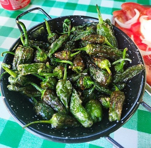 Pimientos de Padrón